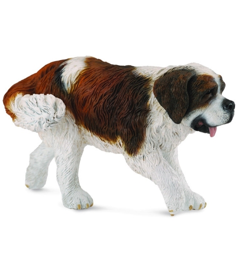 Imagine Saint bernard