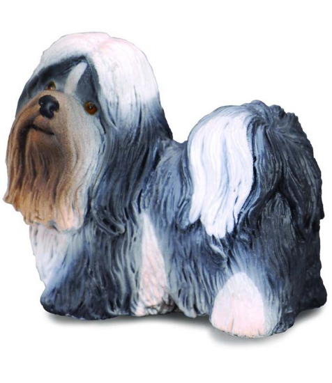 Imagine Shih Tzu