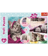 Imagine Puzzle Trefl 160 Pisici Dragalase