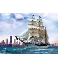 Imagine Puzzle Trefl 500 Navigand Spre Chicago