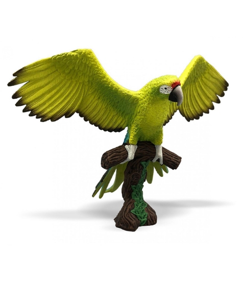 Imagine Papagal Macaw