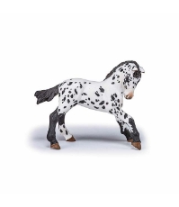 Imagine Figurina manz Appaloosa negru