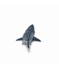 Imagine Figurina Megalodon