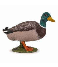 Imagine Figurina rata Mallard