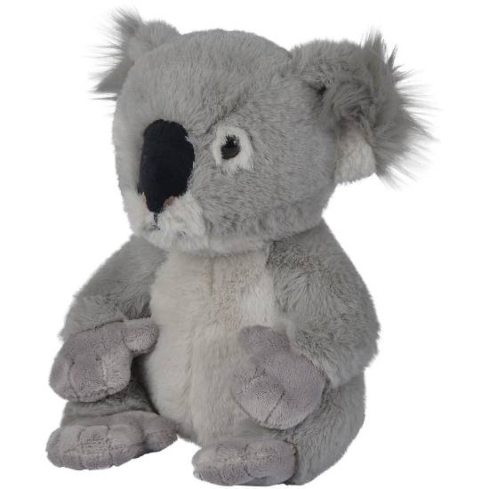 Imagine Jucarie plus Disney National Geographic Koala 25 cm